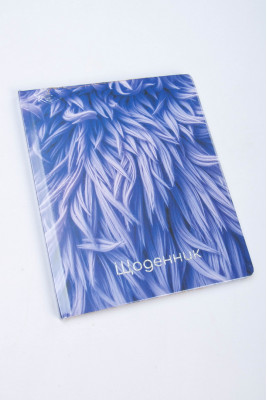 Щоденник шкільний, 165х210 мм, 48 аркушів
